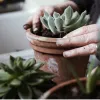 Planten in een zorginstelling